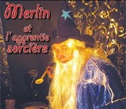 Merlin et l'apprentie sorcière La Boite  rire Vende Affiche