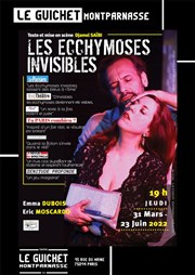 Les Ecchymoses invisibles Guichet Montparnasse Affiche