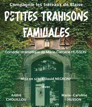Petites trahisons familiales L'Auguste Théâtre Affiche