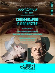 Marie-Agnès Gillot - Choregraphie d'orchestre La Seine Musicale - Auditorium Patrick Devedjian Affiche