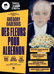 Des fleurs pour Algernon Théâtre du Petit Saint Martin Affiche