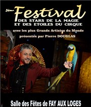 3ème Festival des Stars de la Magie et des Etoiles du Cirque 2016 Salle des Ftes de Fay aux Loges Affiche