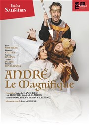 André Le Magnifique Théâtre des Salinières Affiche