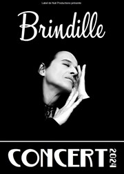 Brindille Concert 2024 La Champmesl Affiche
