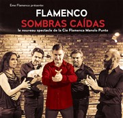 Flamenco Sombras Caidas Espace Jemmapes Affiche