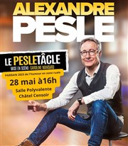 Alexandre Pesle dans Le Pesletâcle Salle des fêtes de Châtel Censoir Affiche