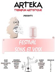 Festival Sons et Voix Tremplin Arteka Affiche