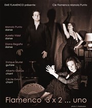 Flamenco 3x2... uno Espace Jemmapes Affiche
