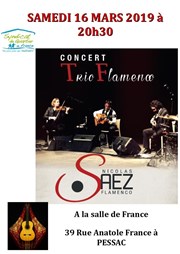 Nicolas Saez : Trio Flamenco Salle de france Affiche