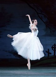 Le ballet Opéra National de Kiev danse Giselle Le Dme de Marseille Affiche