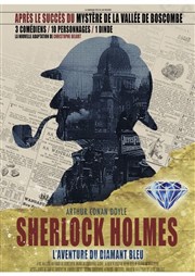 Sherlock Holmes et l'aventure du diamant bleu Thtre  l'Ouest de Lyon Affiche