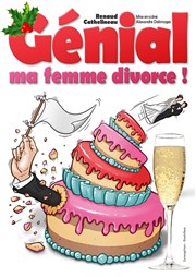 Renaud Cathelineau dans Génial ma femme divorce Chez les Fous Affiche