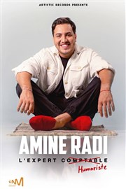 Amine Radi dans L'expert humoriste Thtre le Rhne Affiche