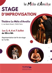 Stage d'improvisation Théâtre Le Mélo D'Amélie Affiche