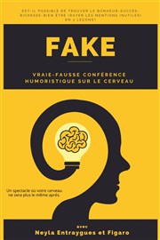 Fake : La Vraie-Fausse conférence humoristique La Comdie du Havre Affiche