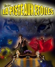 Cirque la piste aux étoiles dans Euphoria Chapiteau Cirque La piste aux toiles  Foix Affiche