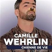 Camille Wehrlin dans Chienne de vie Cabaret l'Ane Rouge Affiche