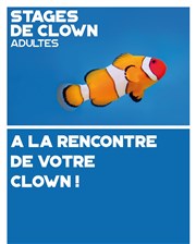 Stages Clown Adultes Théo Théâtre - Salle Plomberie Affiche