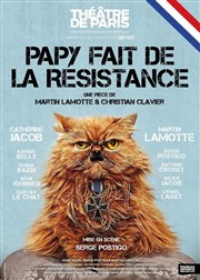 Papy fait de la résistance | avec Catherine Jacob et Martin Lamotte Théâtre de Paris - Grande Salle Affiche