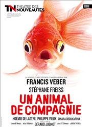 Un animal de compagnie | de Francis Veber | avec Stéphane Freiss Théâtre des Nouveautés Affiche