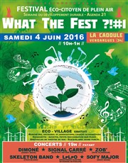 What The Fest ?! 1ère édition Parc de la Cadoule Affiche