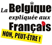 Pierre Mathues dans La Belgique expliquée aux français Spotlight Affiche