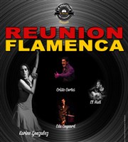 Reunion Flamenca La Chapelle des Lombards Affiche