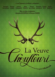 La Veuve Choufleuri Théâtre Montmartre Galabru Affiche