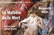 La maladie de la mort Théâtre La Croisée des Chemins - Salle Paris-Belleville Affiche