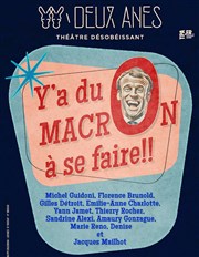 Y'a du Macron à se faire Théâtre des 2 Anes Affiche