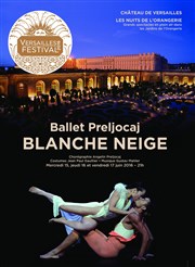 Ballet Preljocaj - Blanche Neige Chteau de Versailles - Jardins de l'Orangerie Affiche