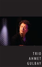 Trio Ahmet Gülbay pour une Jam Jazz et Chansons Françaises Jazz Act Affiche