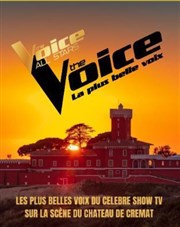 The Voice - Les plus belles voix du célèbre Show TV Chteau de Crmat Affiche