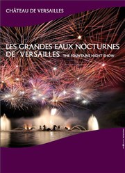Les Grandes Eaux Nocturnes Grand canal du Chateau de Versailles Affiche