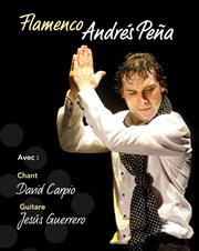 Peña - Trio Flamenco d'Andalousie Caf de la Danse Affiche