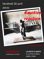 Emotion - Réaction : Flamenco traditionnel et revisité La Boite  gants Affiche