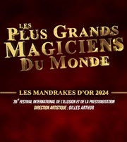 Les Mandrakes d'or 2024 Casino de Paris Affiche