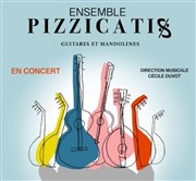 Concert Pizzicatis Mairie du 9me arrondissement Affiche