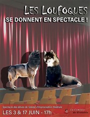 Les Loufoques se donnent en spectacle Comdie de Grenoble Affiche
