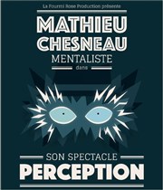 Mathieu Chesneau dans Perception Cinmarine Affiche