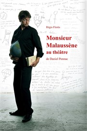 Monsieur Malaussène au théâtre Ninon Thtre Affiche