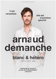 Arnaud Demanche dans Blanc et Hétéro La Basse Cour Affiche