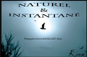 Naturel et instantané MJC-MPT Franois Rabelais Affiche