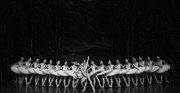 Le Lac des cygnes | Irina Kolesnikova Saint-Petersbourg Ballet Théâtre Thtre des Champs Elyses Affiche