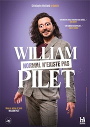William Pilet dans Normal n'existe pas La Comdie d'Avignon Affiche