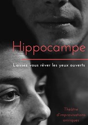 Hippocampe Le Carré 30 Affiche