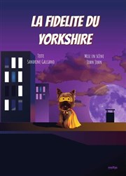 La fidélité du Yorkshire Divine Comdie Affiche