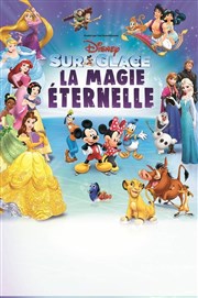 Disney sur glace - La Magie Eternelle Znith de Paris Affiche