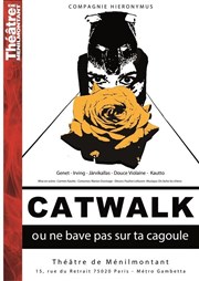 Catwalk ou Ne bave pas sur ta cagoule Thtre de Mnilmontant - Salle Guy Rtor Affiche
