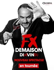 FX Demaison dans Di(x)Vin(s) Espace Malraux Affiche